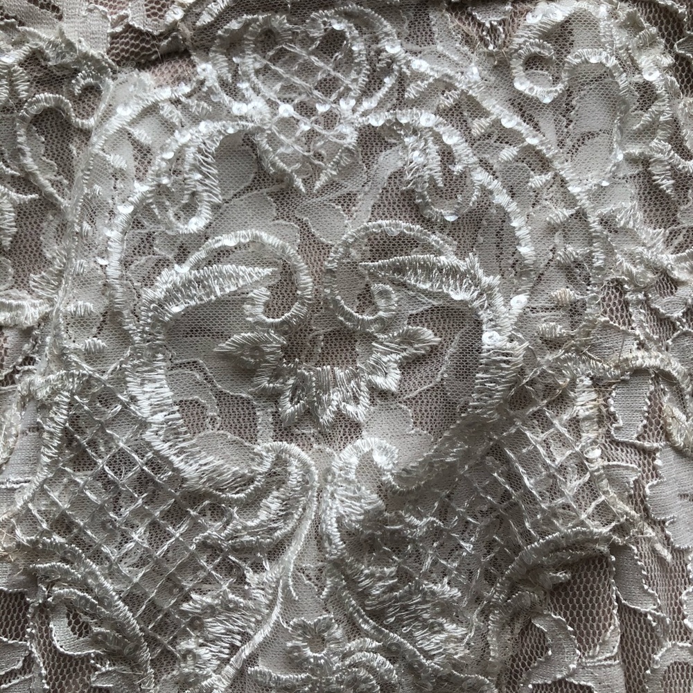 Wedding or Formal Dress Beaded with Blush Lining - Picture 6 of 6